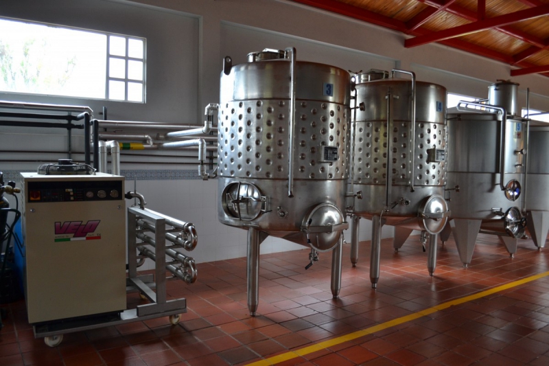 cave-MOUGINS-min_wine_production_cantine_winery_drink_alcohol_vine_beverage-902036